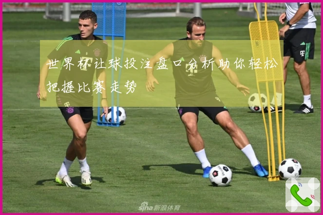 世界杯让球投注盘口分析助你轻松把握比赛走势