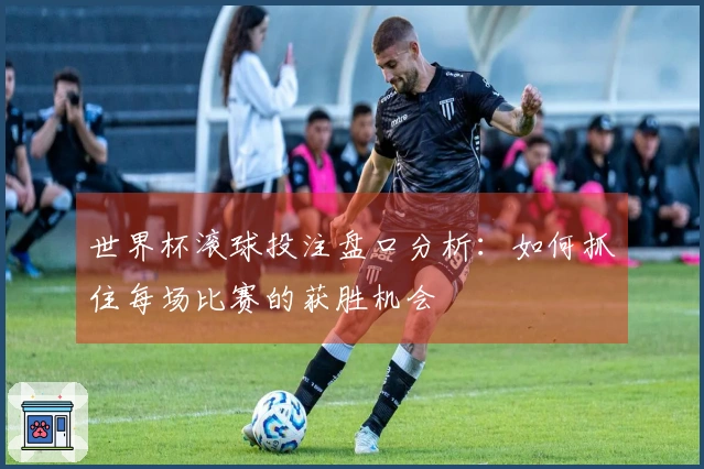 世界杯滚球投注盘口分析：如何抓住每场比赛的获胜机会