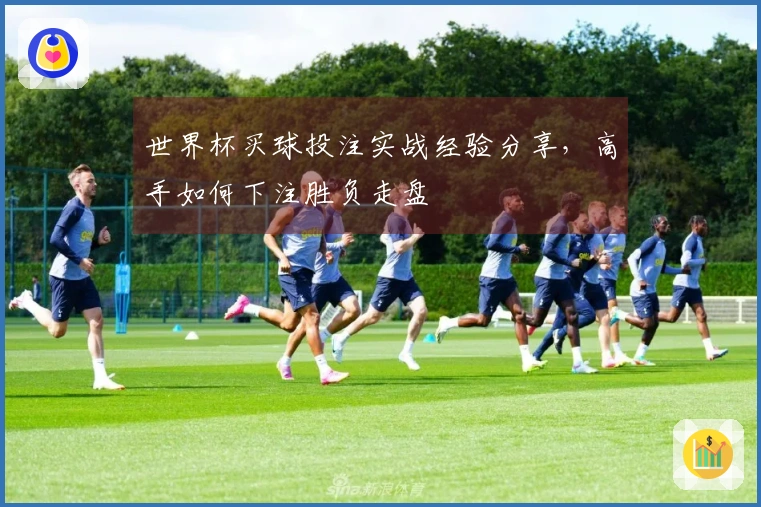 世界杯买球投注实战经验分享，高手如何下注胜负走盘