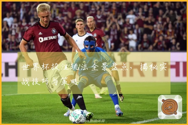 世界杯投注玩法全景盘点，揭秘实战技巧与策略