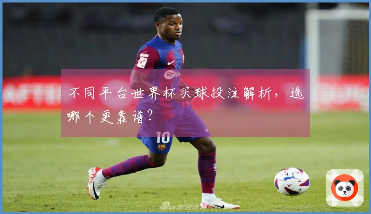 不同平台世界杯买球投注解析，选哪个更靠谱？