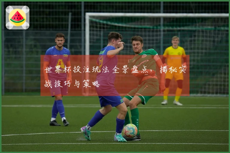 世界杯投注玩法全景盘点，揭秘实战技巧与策略