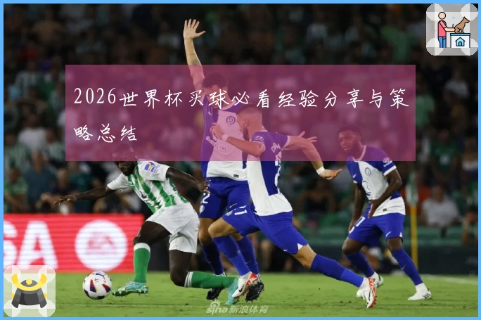 2026世界杯买球必看经验分享与策略总结