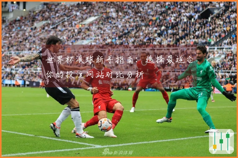世界杯滚球新手指南：选择最适合你的投注网站对比分析