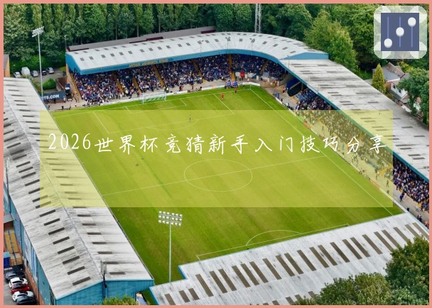2026世界杯竞猜新手入门技巧分享