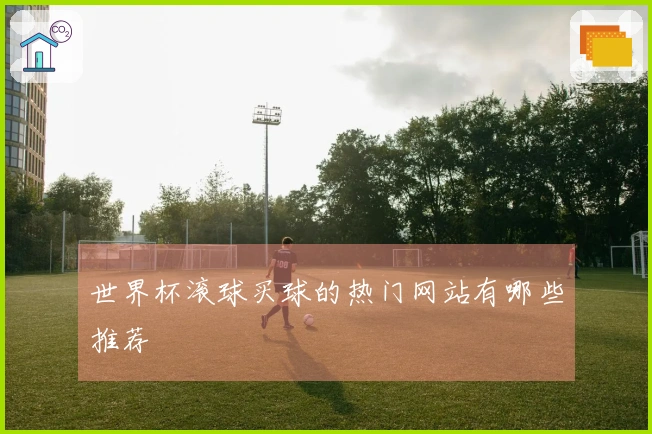 世界杯滚球买球的热门网站有哪些推荐