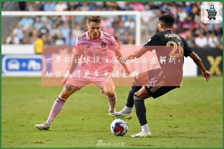 世界杯让球投注实战玩法全解析，助你赢得更多竞猜乐趣