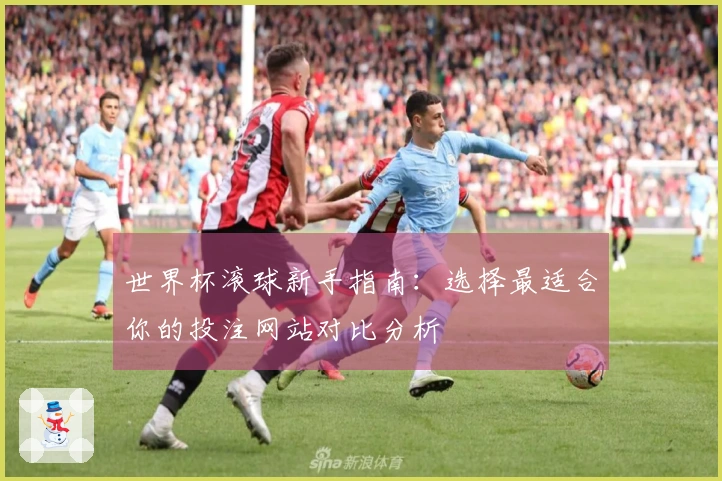 世界杯滚球新手指南：选择最适合你的投注网站对比分析